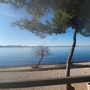 - Pine Diklo Zadar